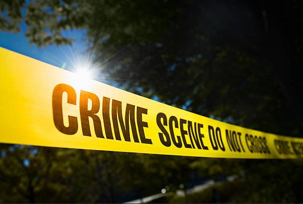 Michigan Campus Crime Trends at Major Public Universities
